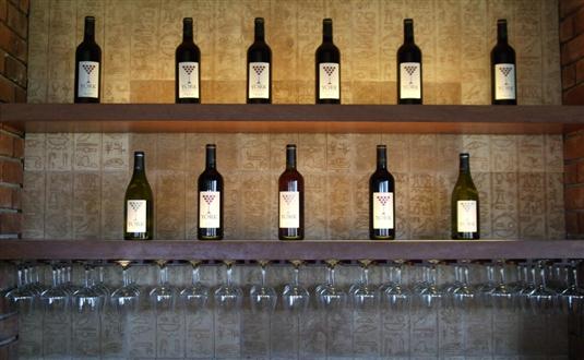 York Winery Tasting Room tour with Antilog Vacations at Nashik Western India
