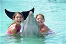 Swim with the Dolphins