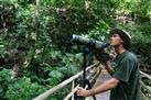 Cinco Ceibas Rainforest + Adventure Park Day Tour