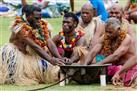 Navua River Village and Kava Ceremony Tour