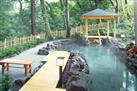 Hot springs of Miyajima Island