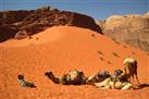 Beida and Wadi Rum from Petra