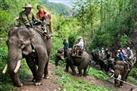 Mekong Elephant Camp