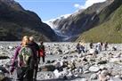 Franz Josef Glacier Valley Walk
