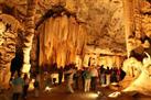 Oudtshoorn, Cango Caves and Little Karoo Day Trip from Knysna
