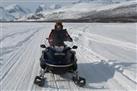 Arctic wildlife safari with snowmobile